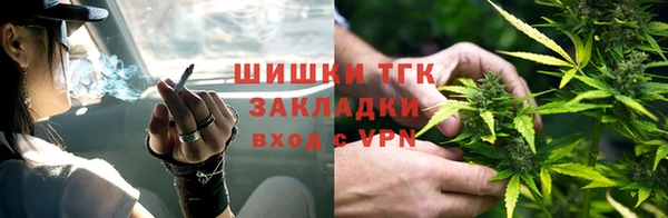 стафф Каменногорск