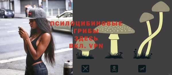 стафф Каменногорск