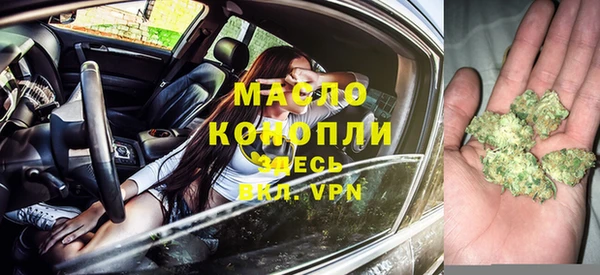 эйфоретик Каменка
