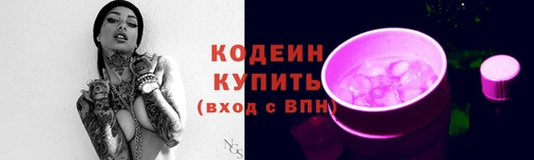 стафф Каменногорск