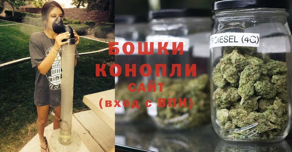 эйфоретик Каменка