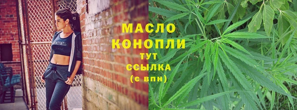 стафф Каменногорск