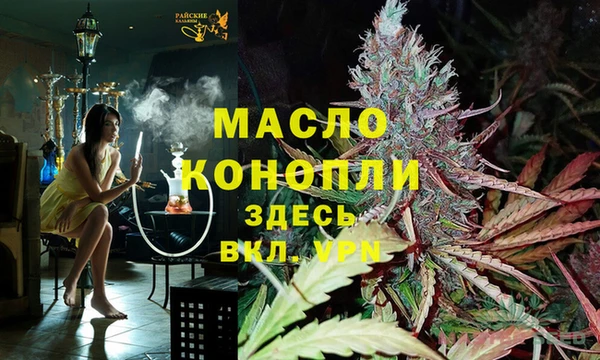 эйфоретик Каменка