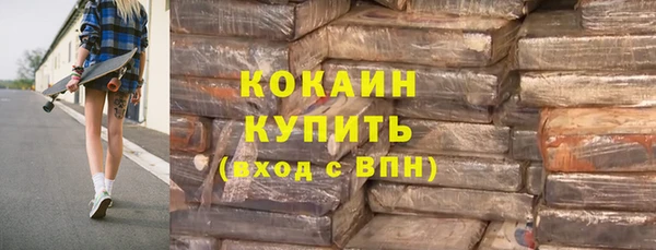 стафф Каменногорск
