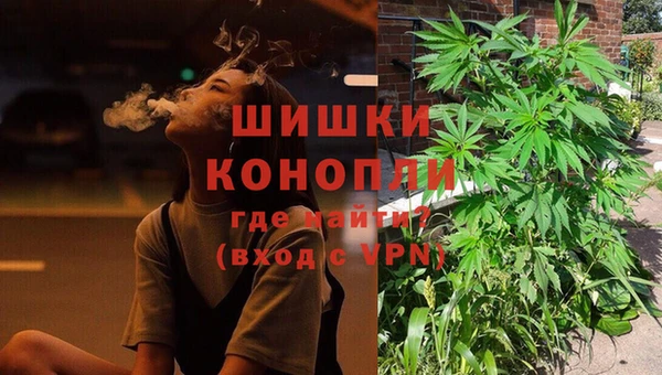 стафф Каменногорск