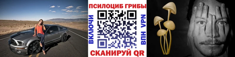 Галлюциногенные грибы мицелий  Купить где  Белый 