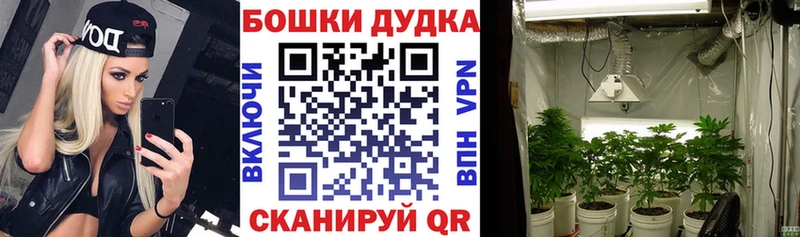 Купить  Белый  Канабис SATIVA & INDICA 